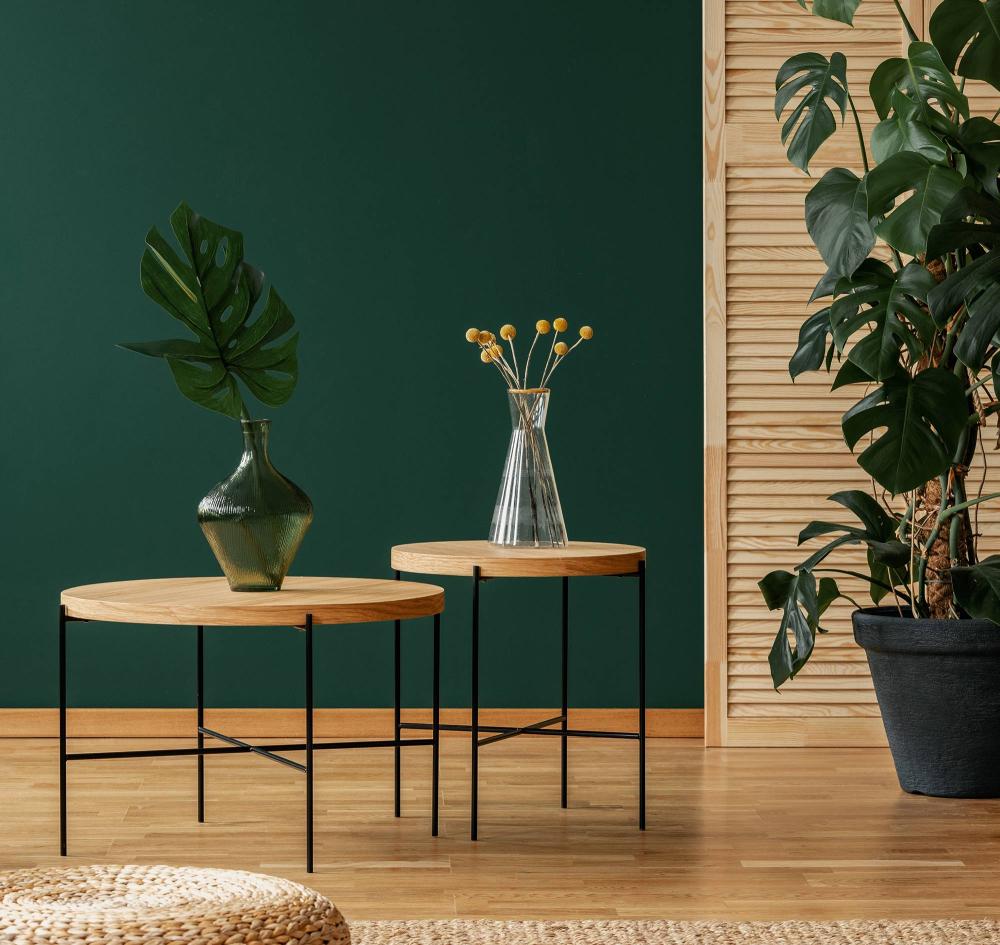 Peinture vert sapin